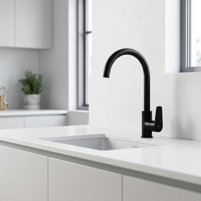 Aquanello Casa Zwarte Eenhendel Keukenmengkraan BL-1201-CS